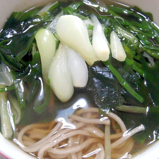 分葱とワカメのかけ蕎麦